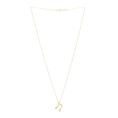 Tiffany 18K Yellow Gold Elsa Peretti Letter N Pendant Necklace 3 of 4