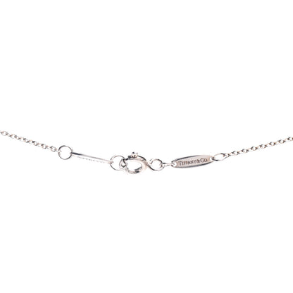 Tiffany Sterling Silver Aquamarine Elsa Peretti Color By The Yard Pendant Necklace 3 of 3