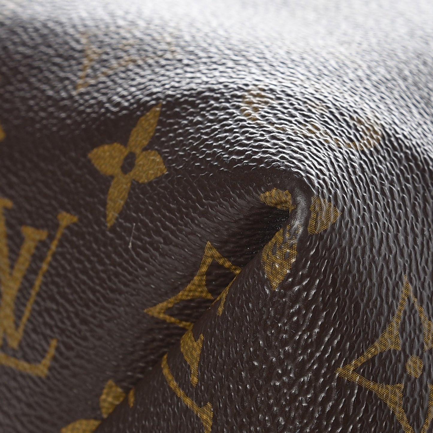 Monogram Sully MM