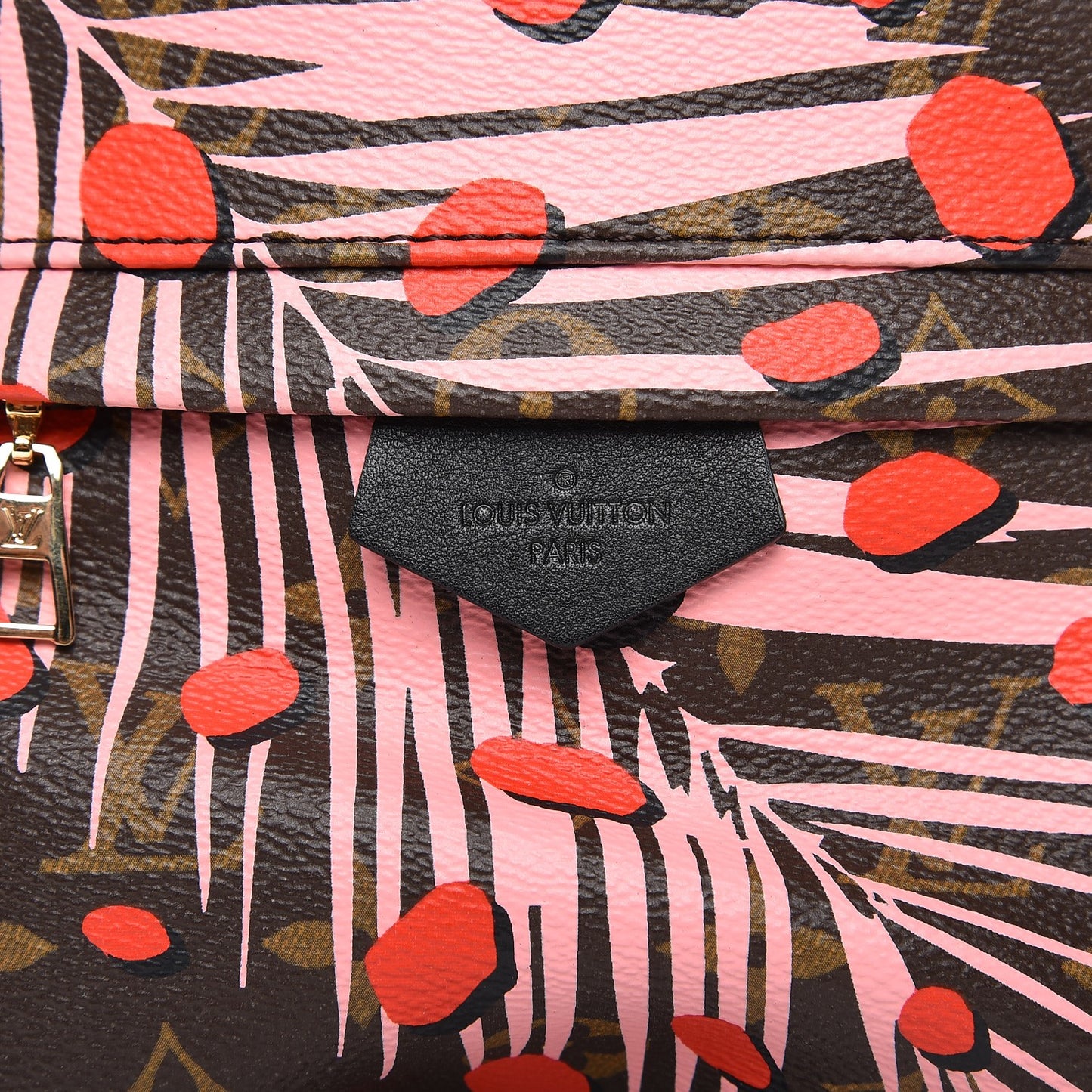 Monogram Jungle Dots Palm Springs Backpack PM Sugar Pink Poppy