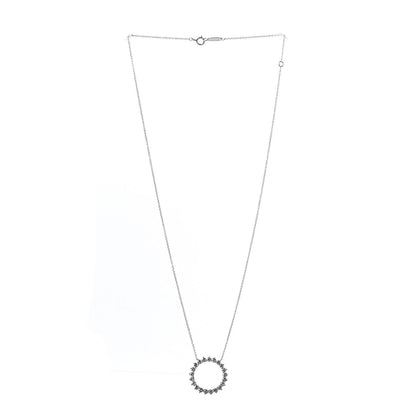 Tiffany Platinum Diamond Open Circle Pendant Necklace 3 of 7