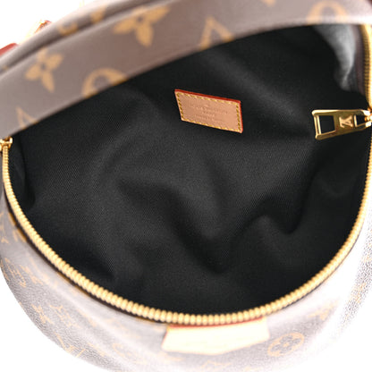 Louis Vuitton Monogram Bumbag 5 of 10