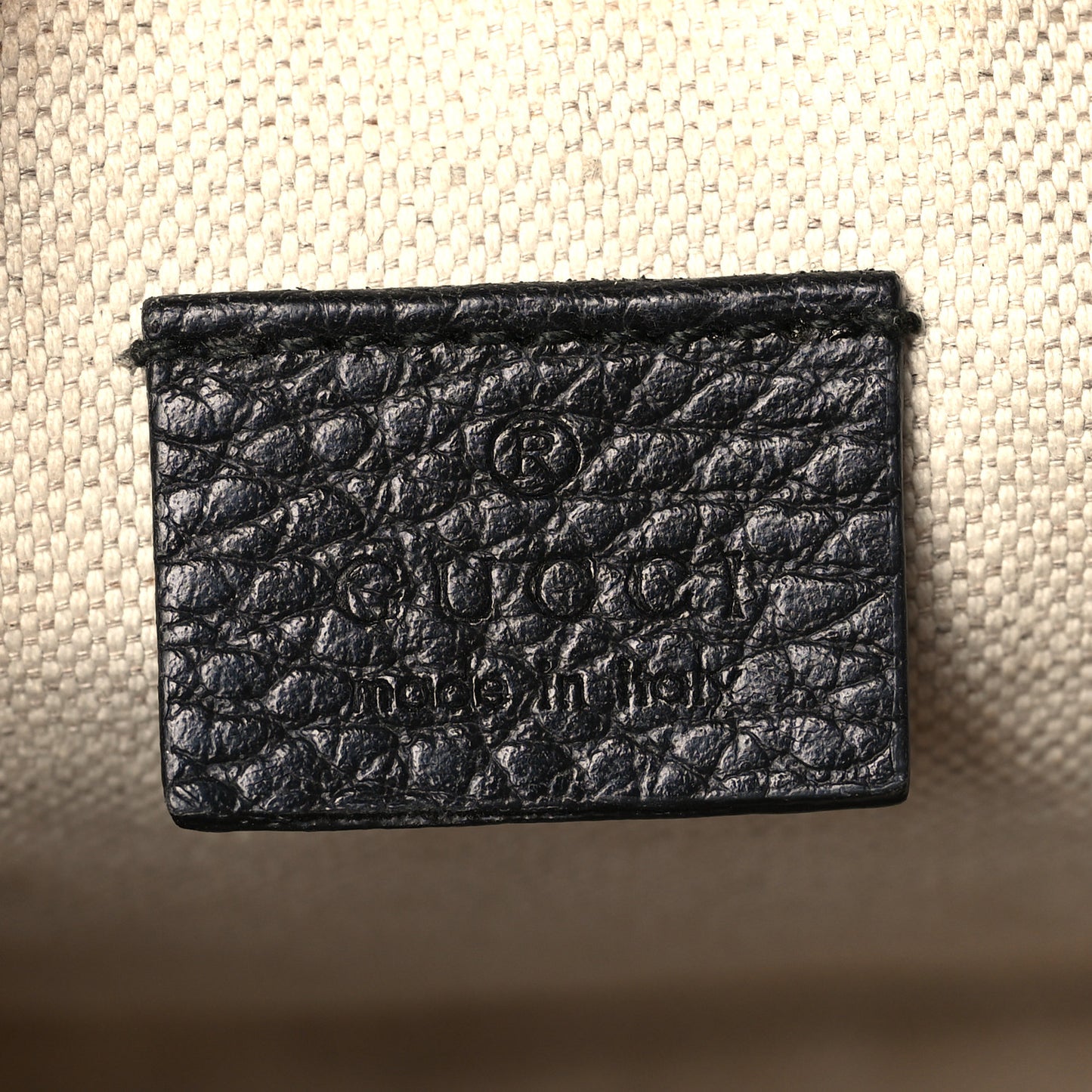 Grained Calfskin Sylvie Web Kingsnake Small Camera Bag Black Multicolor