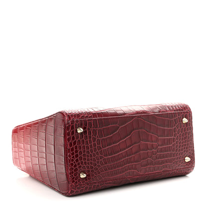 Christian Dior Alligator Gradient Medium Lady Dior Red 4 of 10