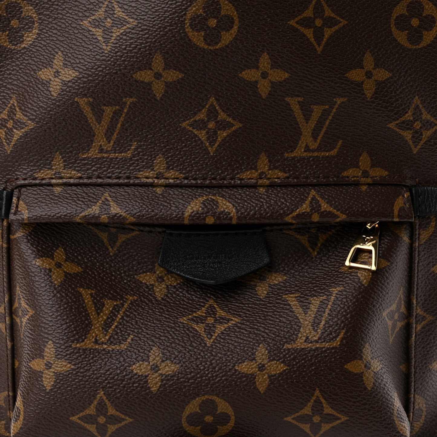 Monogram Palm Springs Backpack PM