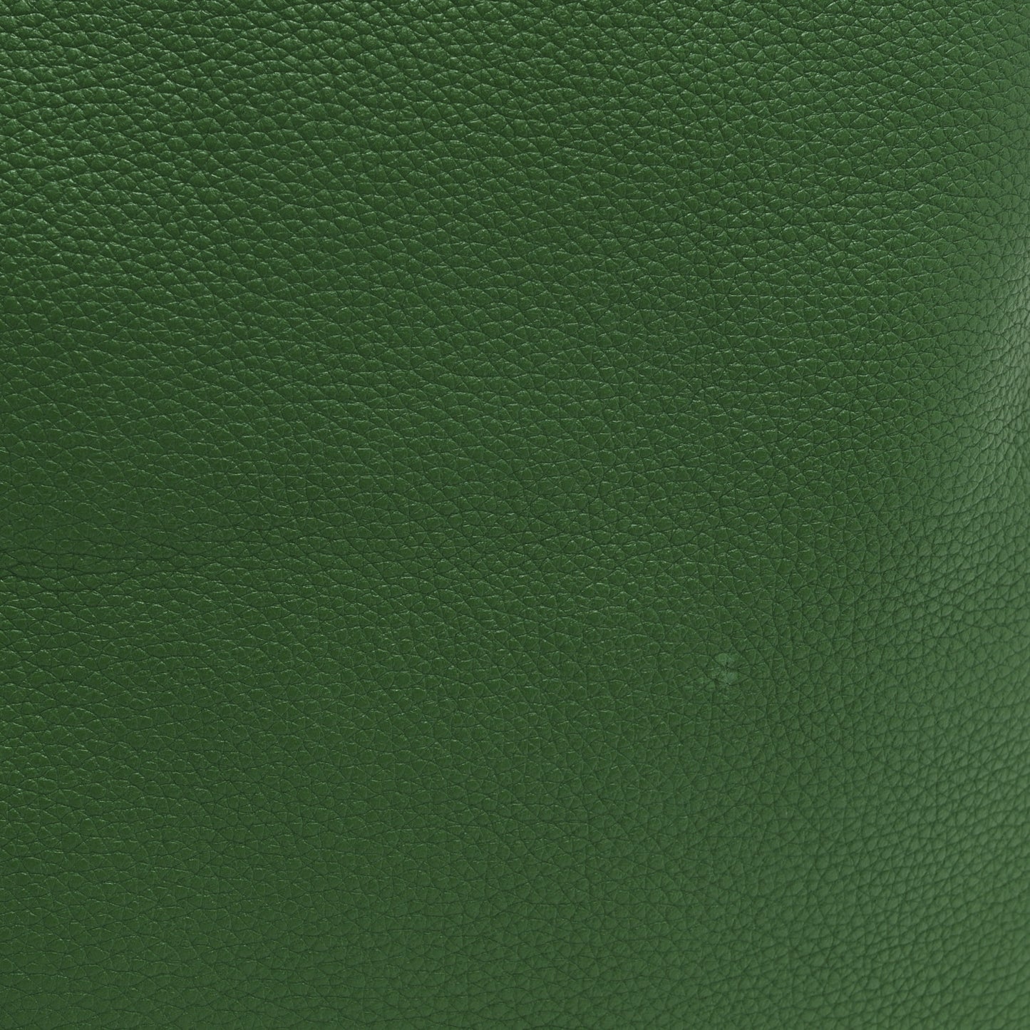 Calfskin Logo Drawstring Backpack Green