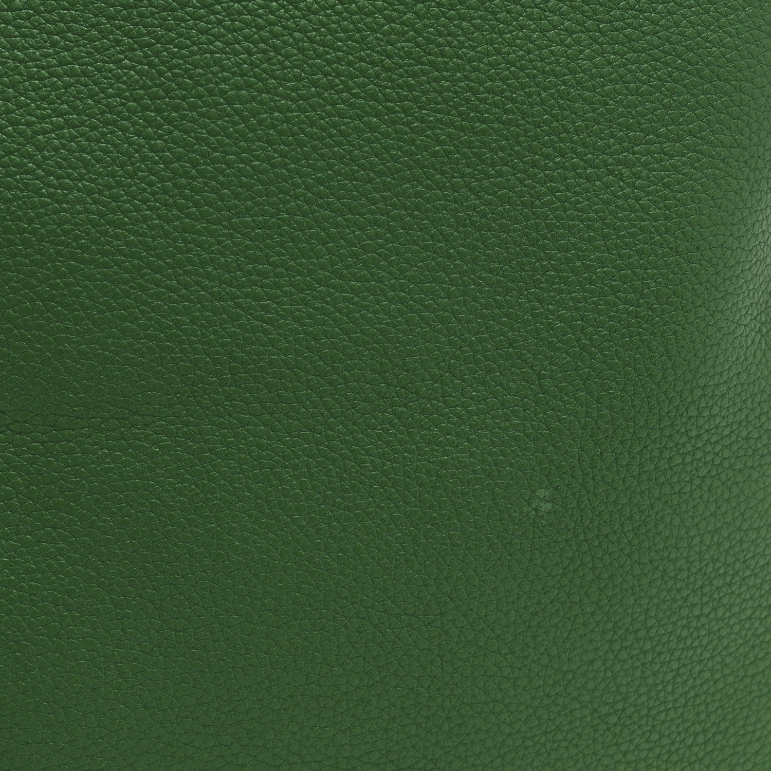 Gucci Calfskin Logo Drawstring Backpack Green 11 of 12