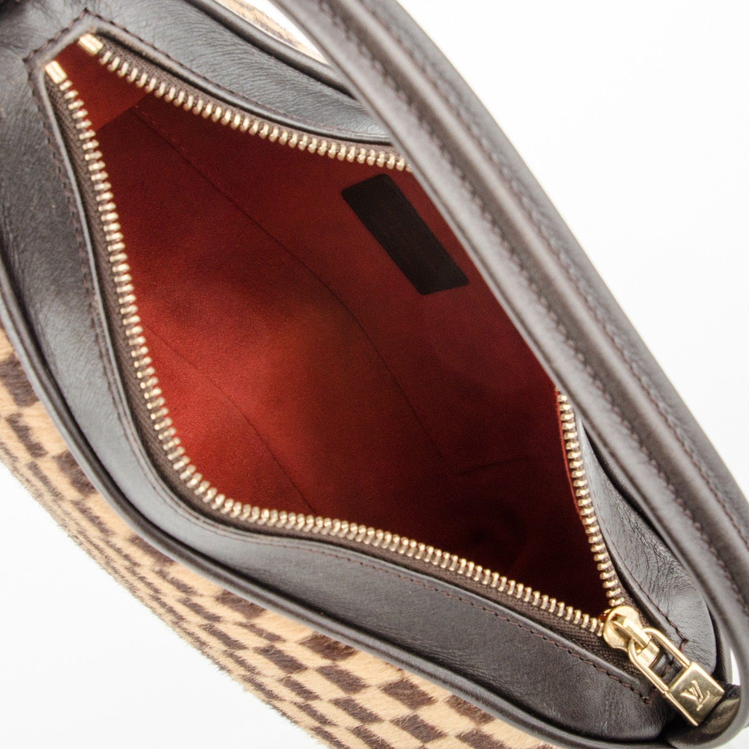Louis Vuitton Calf Hair Damier Sauvage Tigre 5 of 7