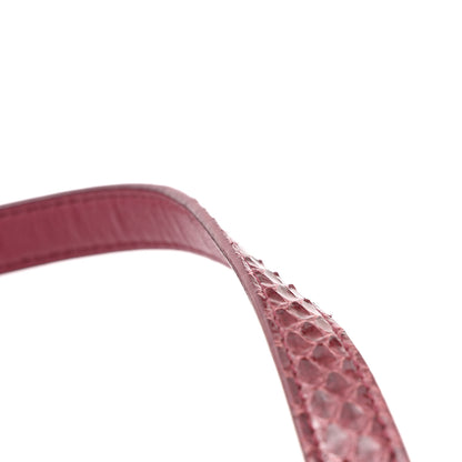 Celine Watersnake Teen Triomphe Ruby 12 of 13