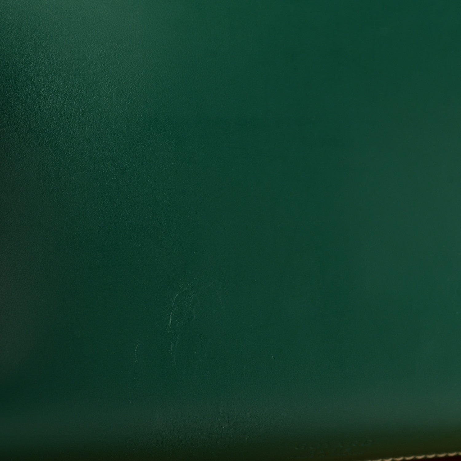 Goyard Goyardine Belvedere II PM Messenger Bag Green 10 of 13