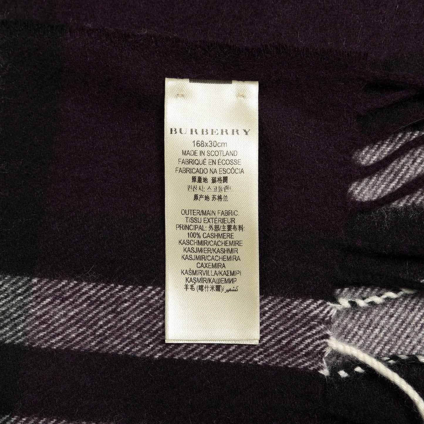 Cashmere Giant Check Fringe Scarf Purple