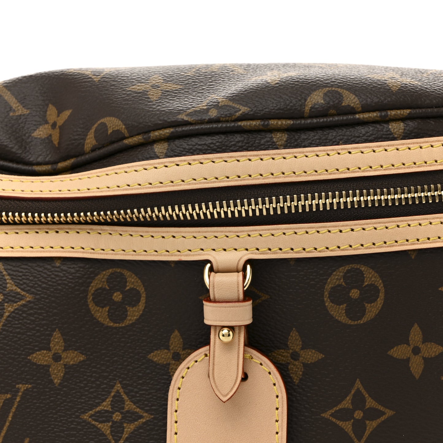 Monogram High Rise Bumbag