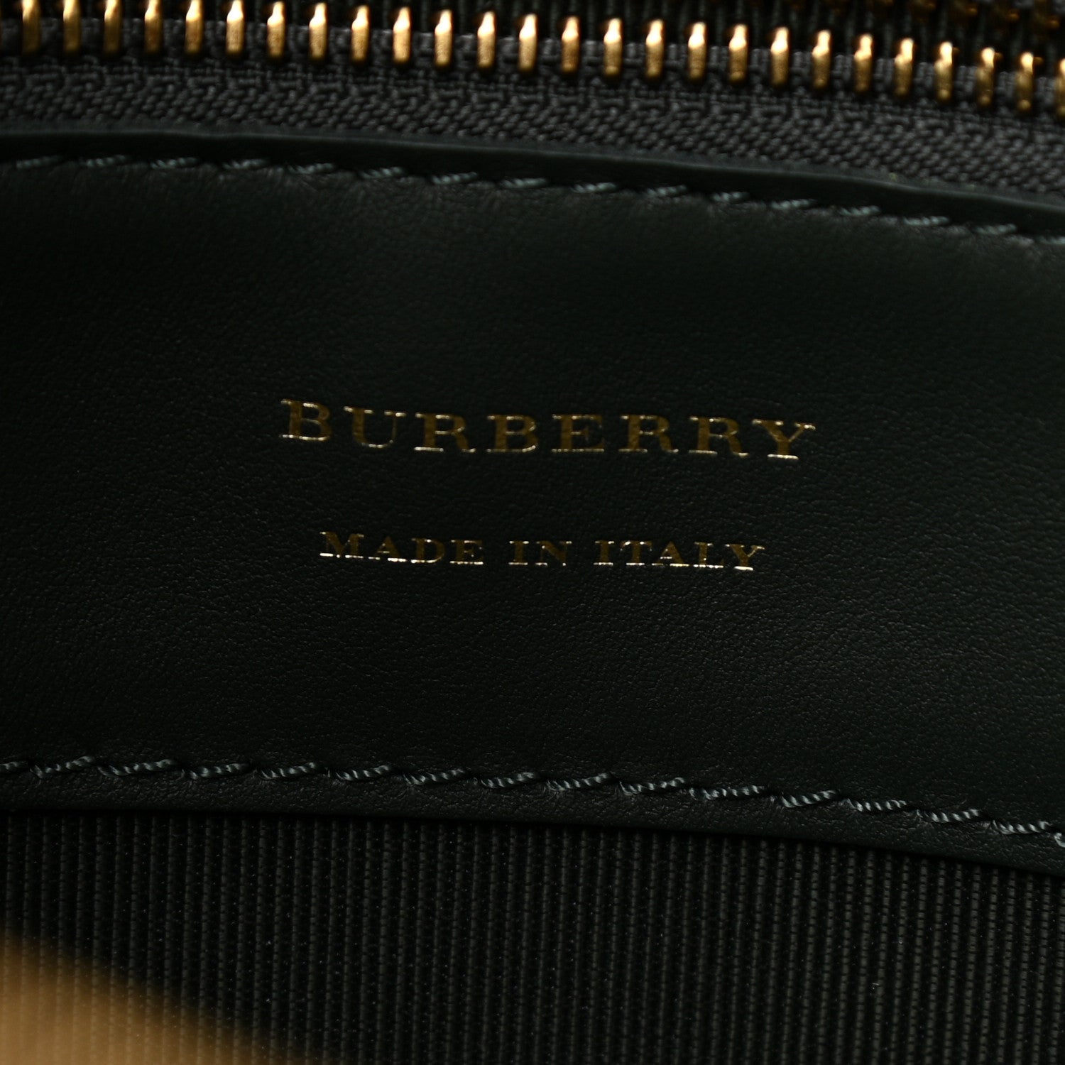 Burberry Smooth Calfskin 1983 Knight Check Link Large Camera Bag Dark Forest Green 6 of 10