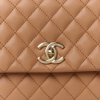 Chanel Caviar Quilted Lizard Embossed Small Coco Handle Flap Brown 9 of 14