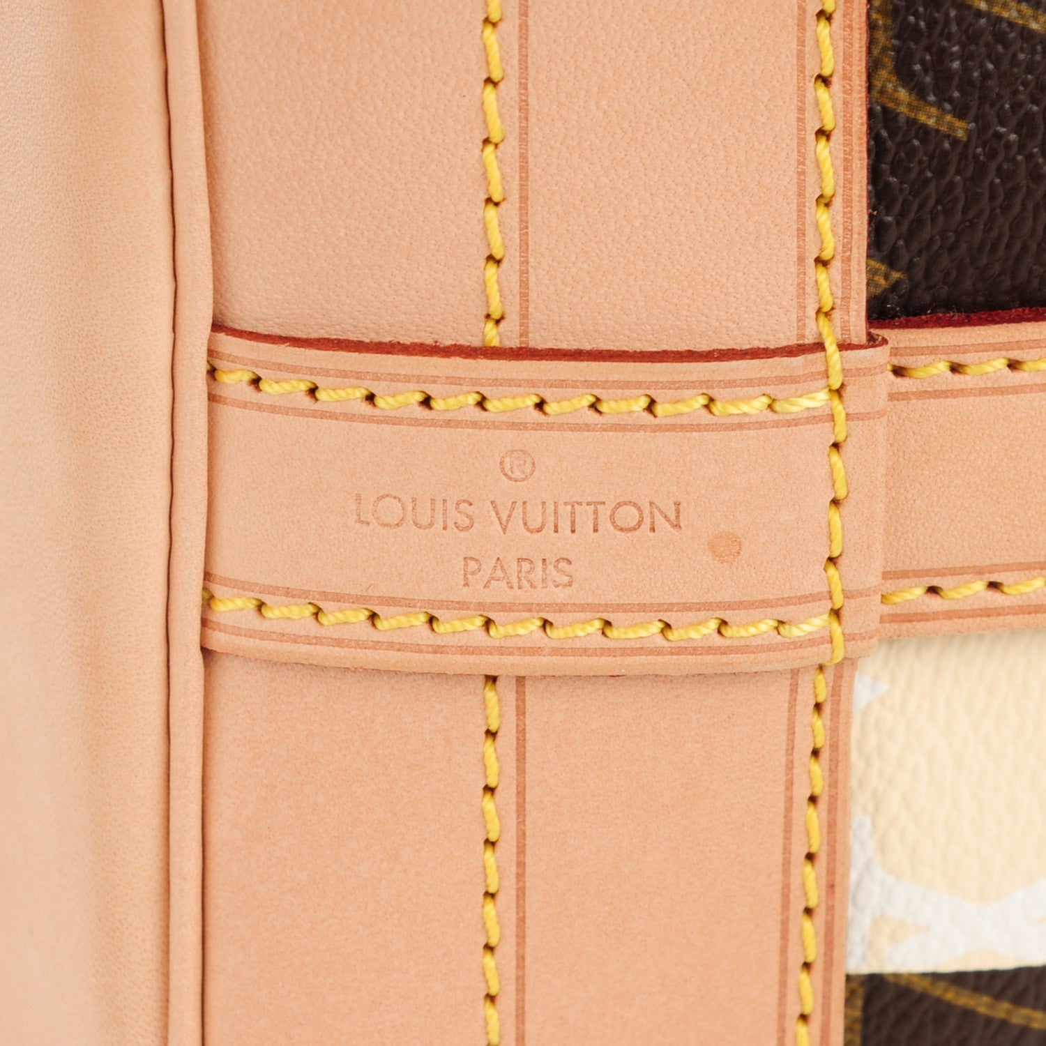 Louis Vuitton Monogram Rayures Noe 6 of 8