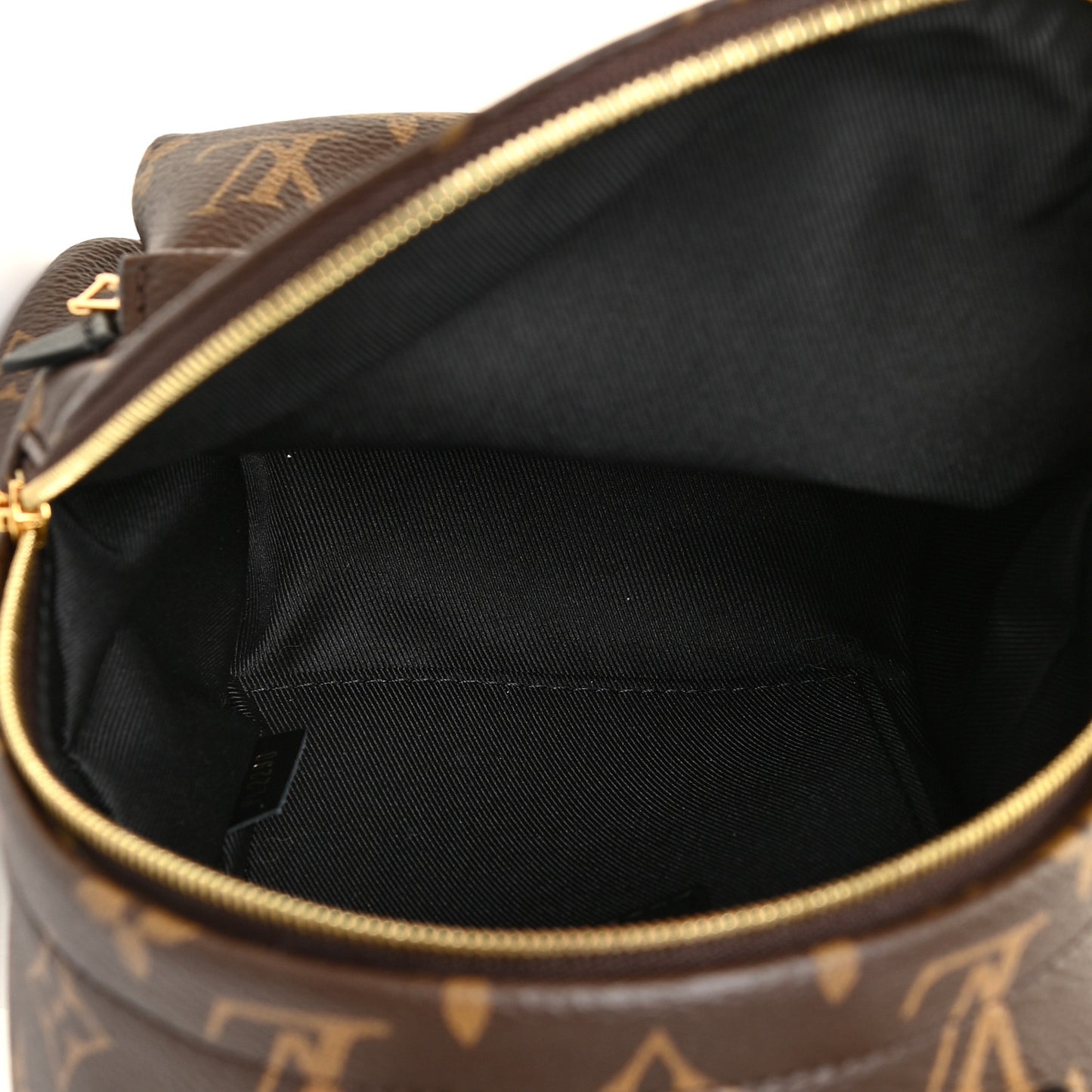Monogram Palm Springs Backpack Mini