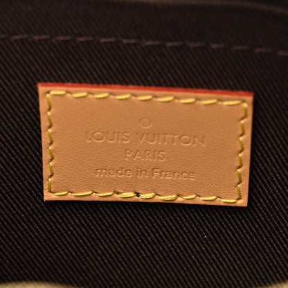 Louis Vuitton X TYLER THE CREATOR Monogram Craggy Mini Soft Trunk Vanilla 6 of 9