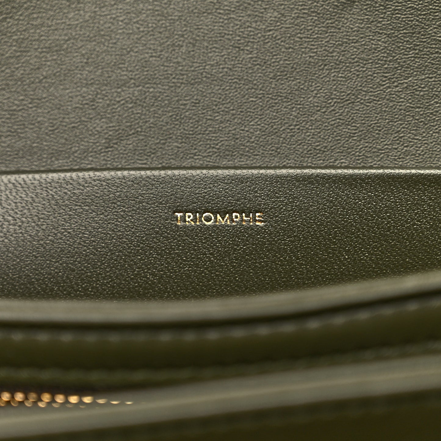 Shiny Calfskin Cuir Triomphe Dark Olive