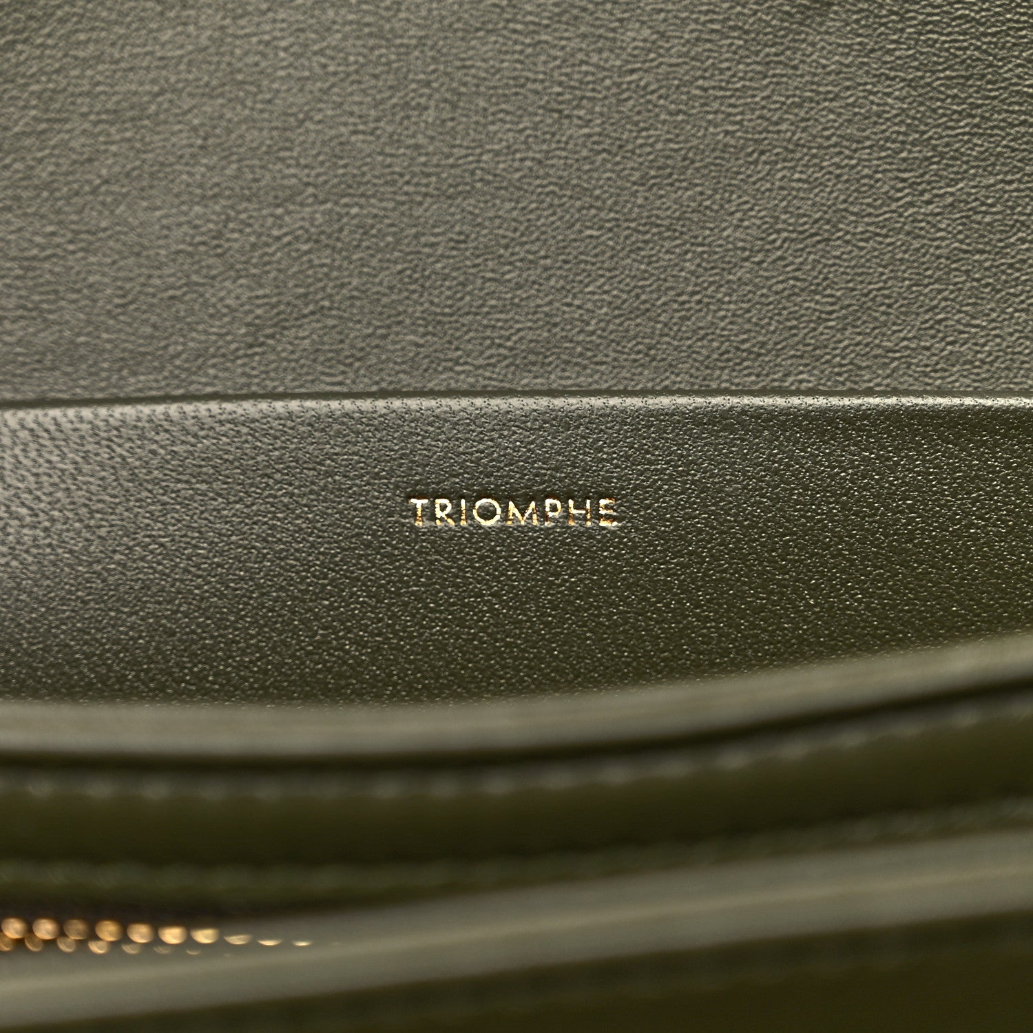 Celine Shiny Calfskin Cuir Triomphe Dark Olive 7 of 10