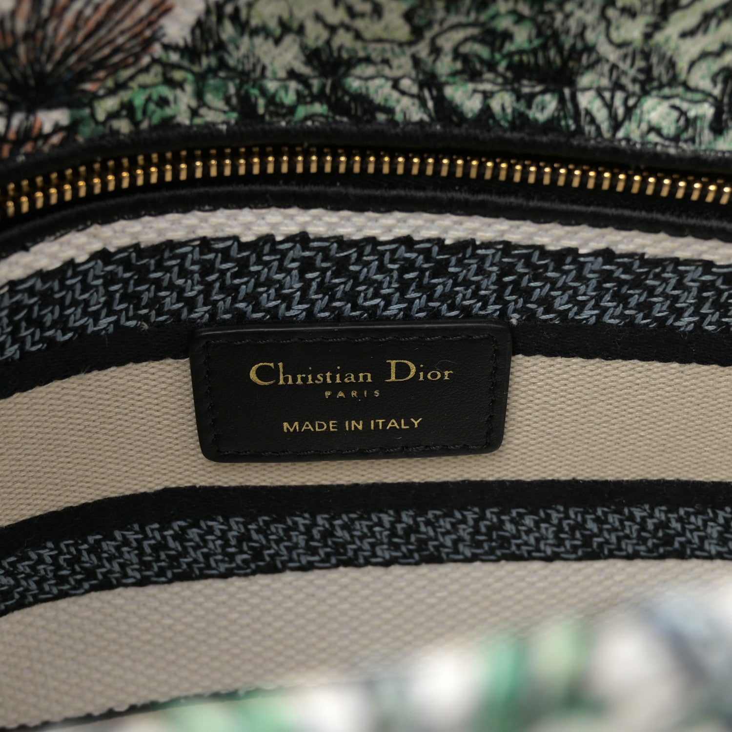 Christian Dior Canvas Embroidered Etoile de Voyage Medium Lady D