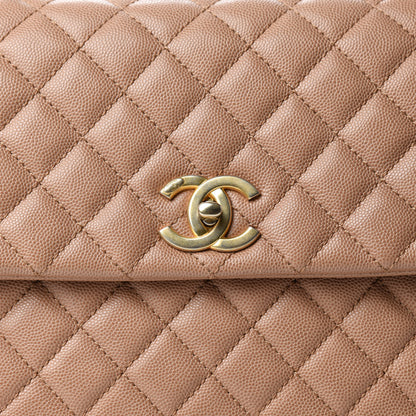 Chanel Caviar Lizard Quilted Medium Coco Handle Flap Light Beige 10 of 10