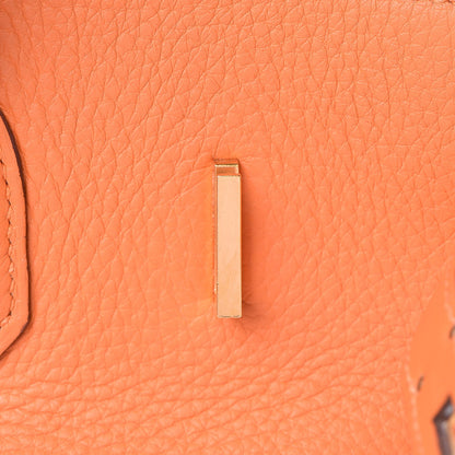 Hermes Togo Birkin 35 Orange 21 of 41