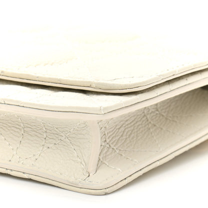 Christian Dior Supple Calfskin Caro Belt Bag Latte 10 of 12