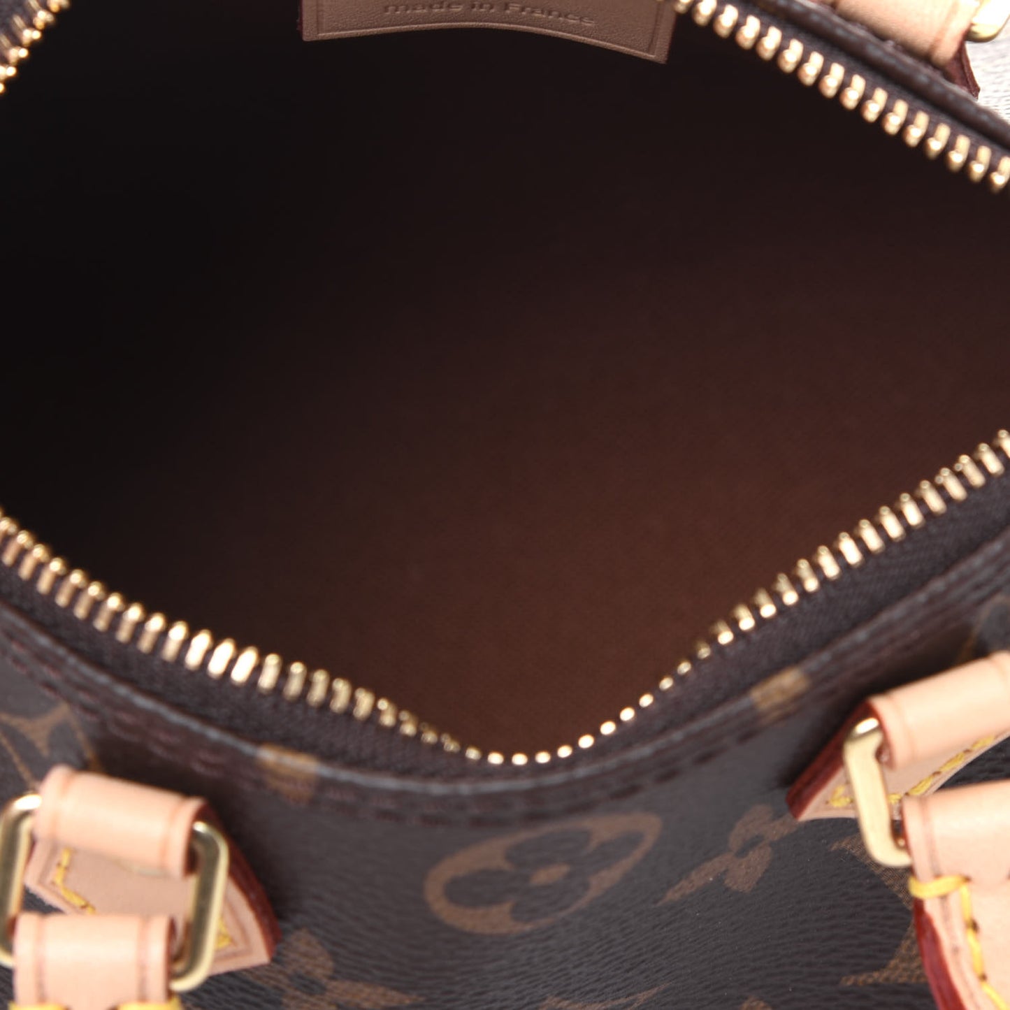 Monogram Nano Speedy