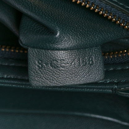 Celine Shiny Calfskin Medium Triomphe Amazone 7 of 12