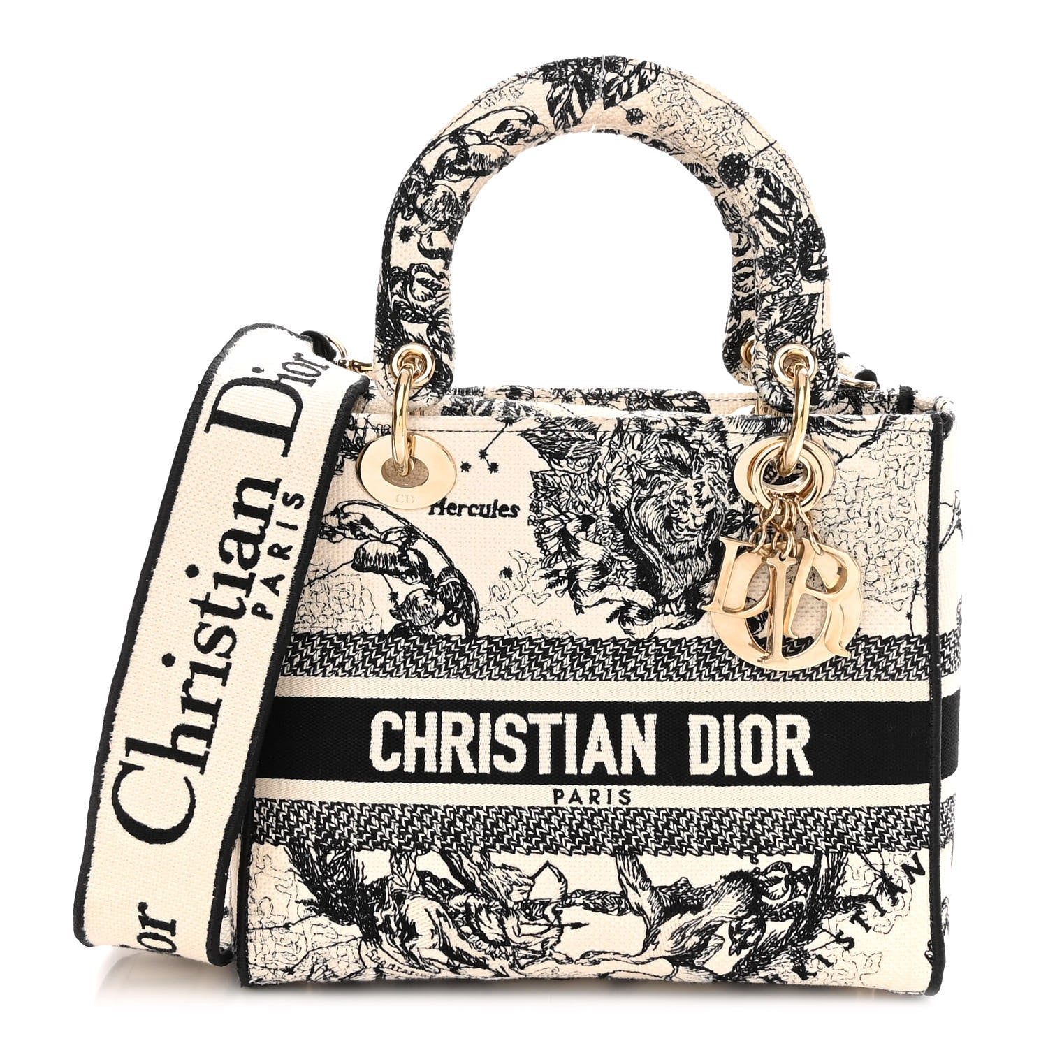 Christian Dior Canvas Embroidered Zodiac Toile De Jouy Medium Lady D-Lite Latte 1 of 10