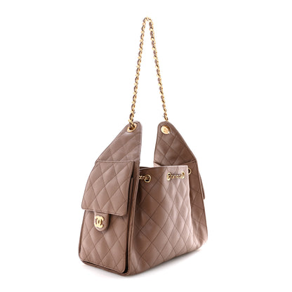 Chanel Caviar Quilted Small Chanel 25 Handbag Brown 3 of 10