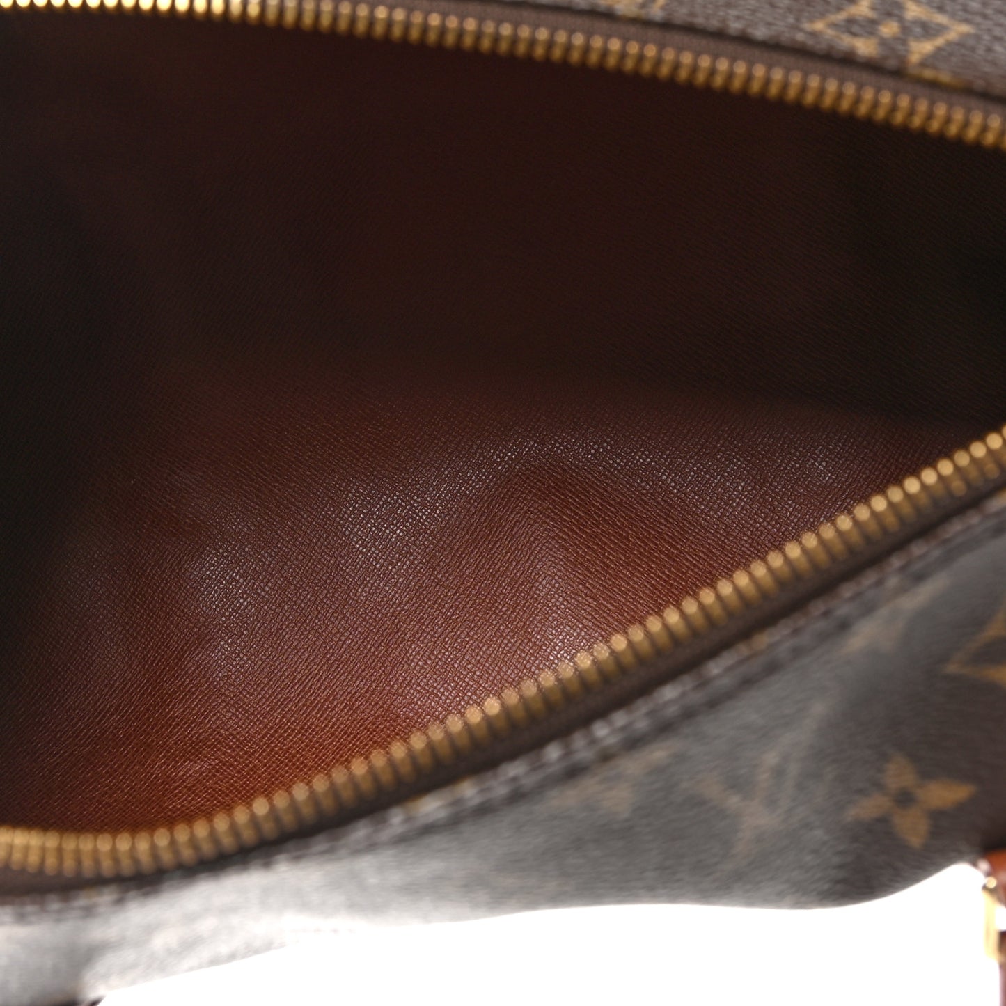 Monogram Papillon 30 with Companion