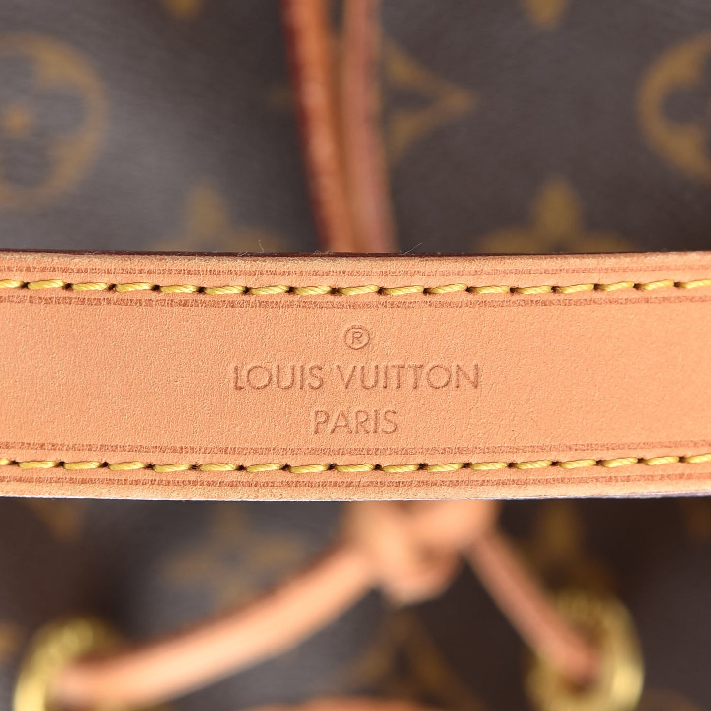 Monogram Petit Noe NM