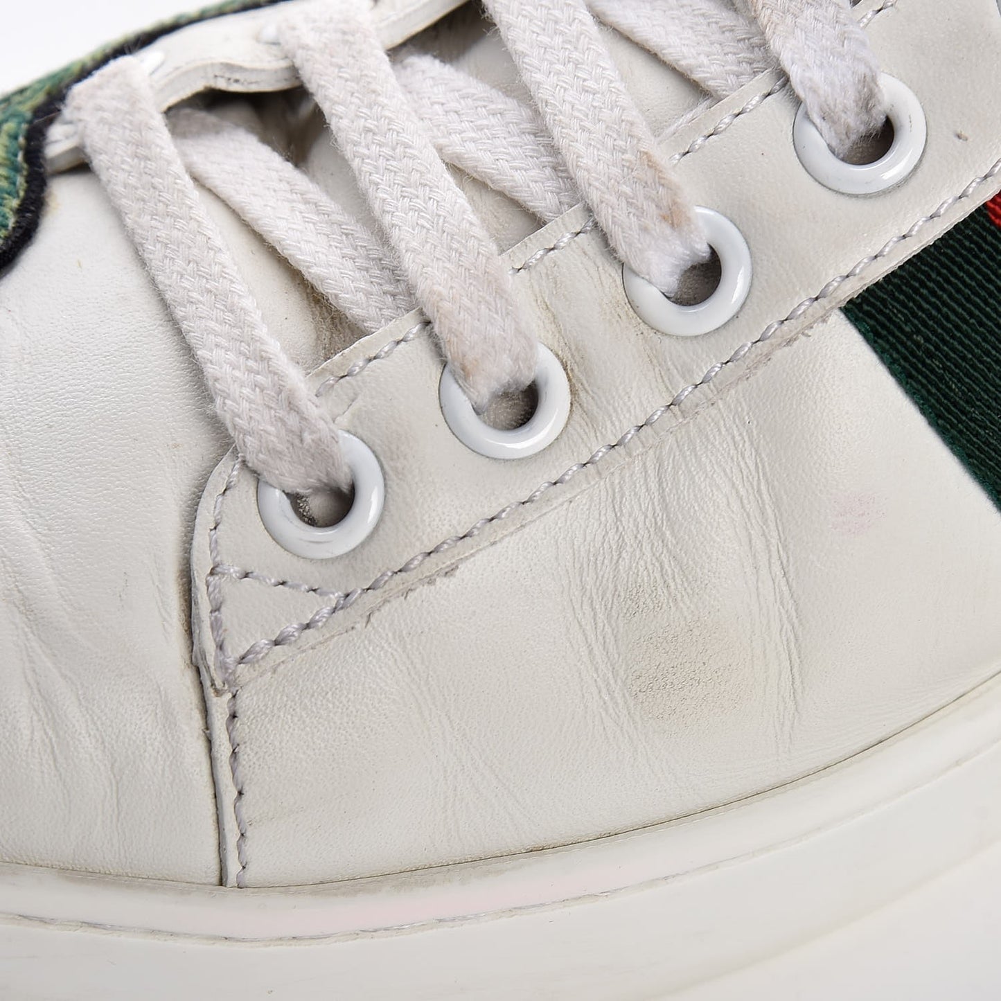Calfskin Web Floral Embroidered Ace Sneakers 36.5 White