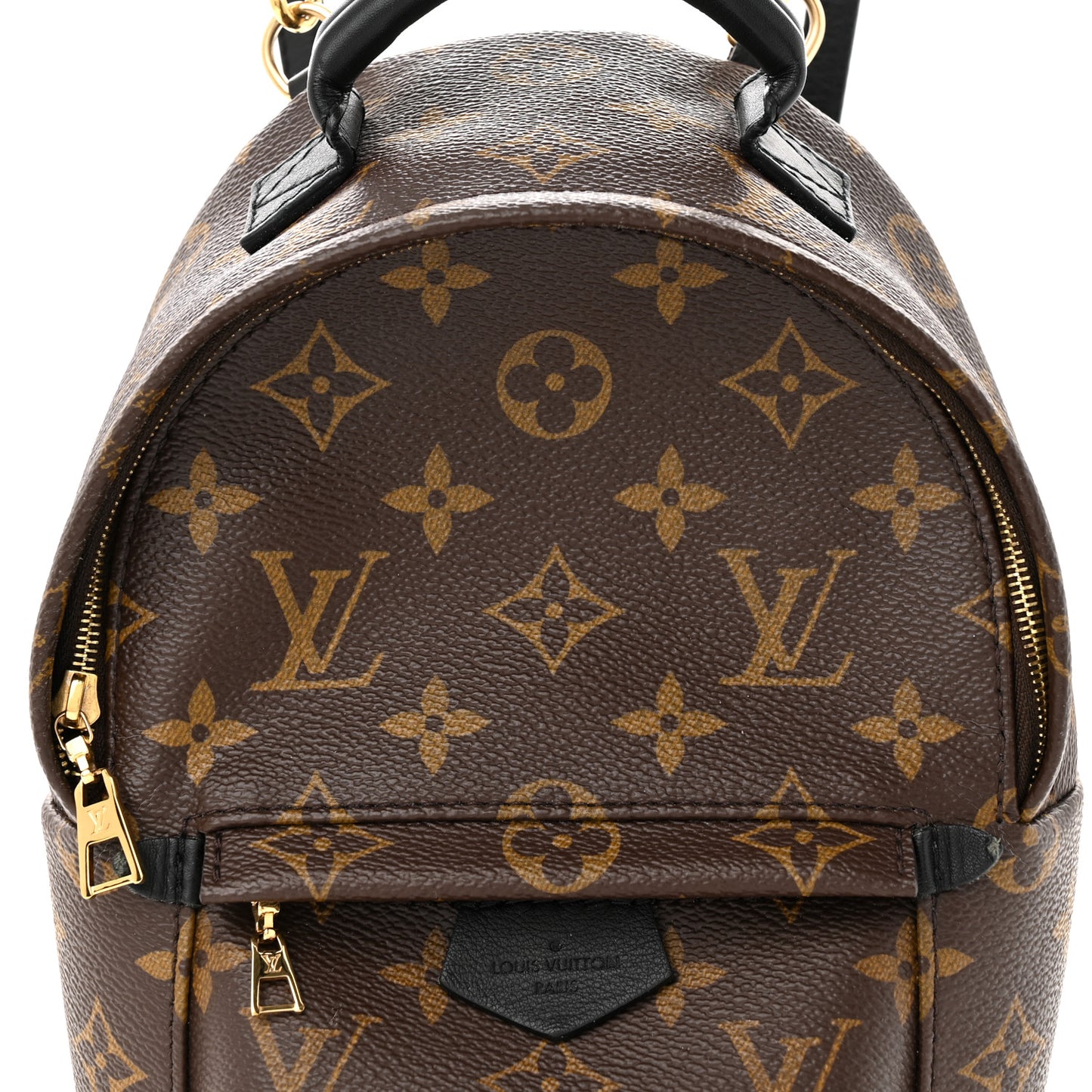 Monogram Palm Springs Backpack Mini