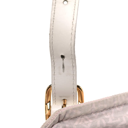Louis Vuitton Tahitienne Cabas PM 26 of 26