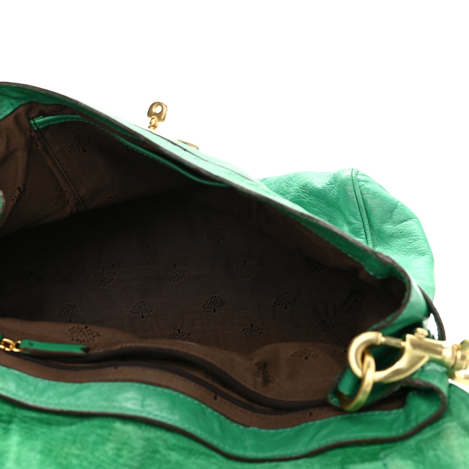 Mulberry Soft Buffalo Medium Alexa Aqua Green 5 of 12