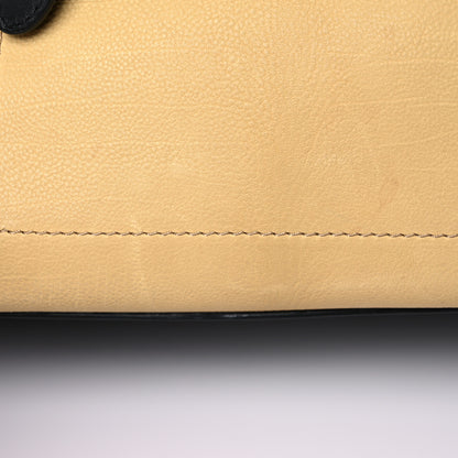 Celine Velluto Calfskin Tri-Color Mini Luggage Vanilla 27 of 37
