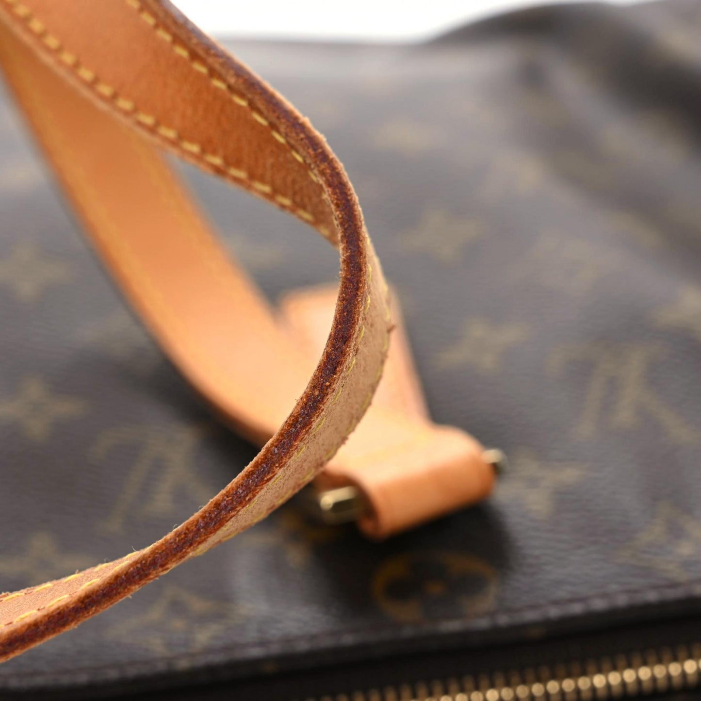 Monogram Cabas Mezzo
