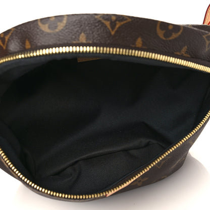 Louis Vuitton Monogram Bumbag 5 of 6