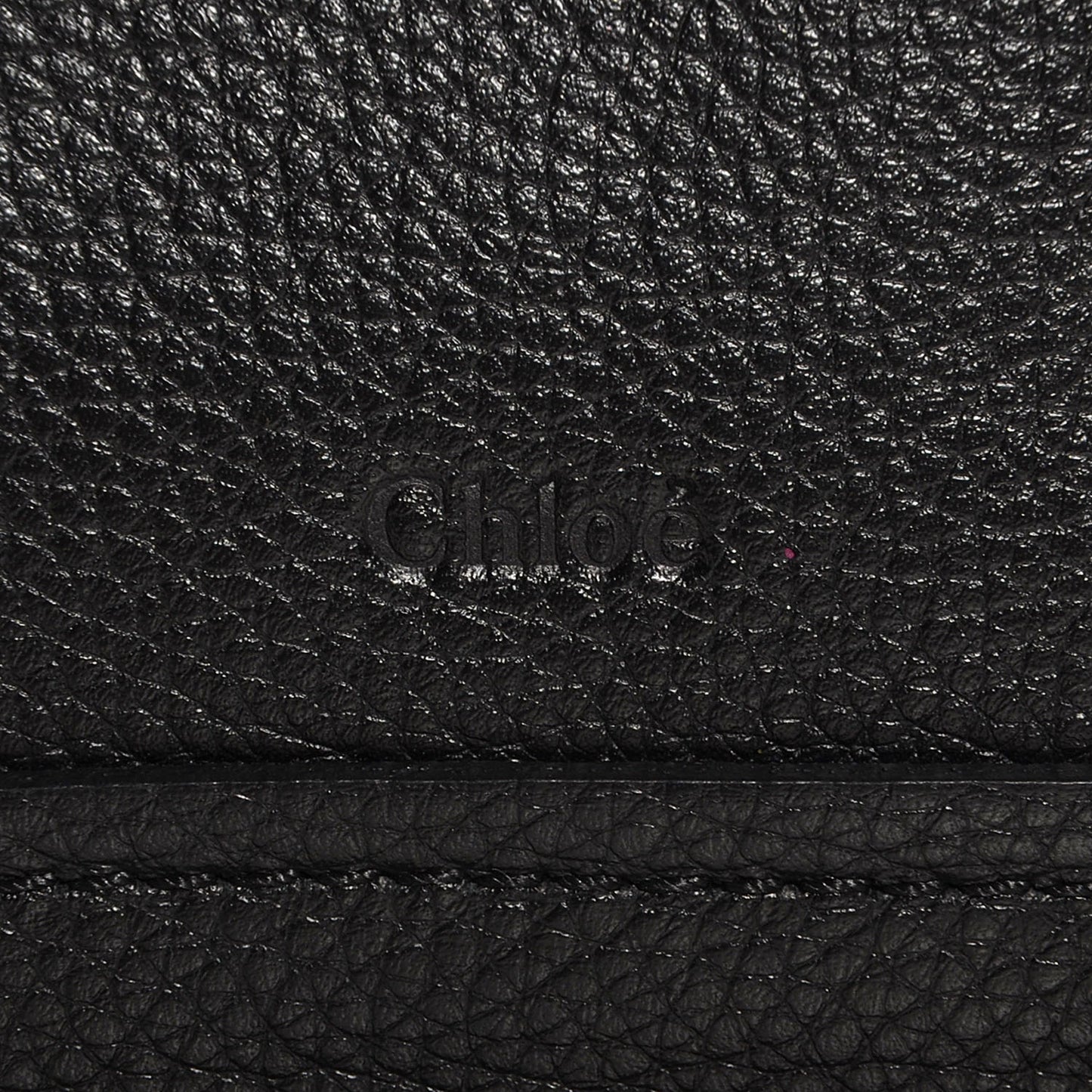 Calfskin Medium Paraty Black