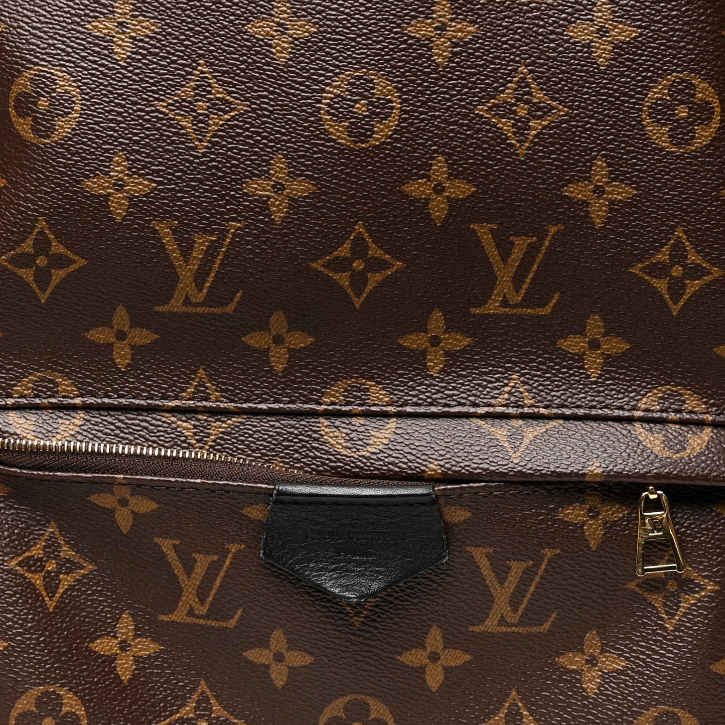 Monogram Palm Springs Backpack MM