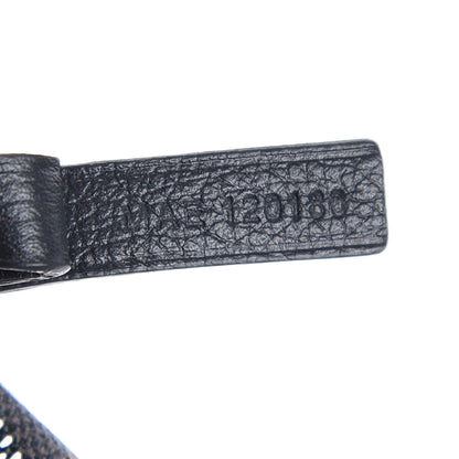 Goyard Goyardine Saint Louis PM Black 7 of 7