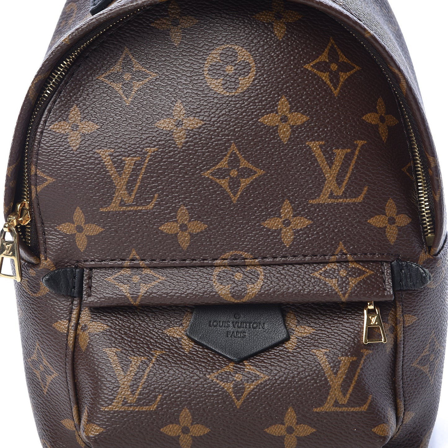Monogram Palm Springs Backpack Mini