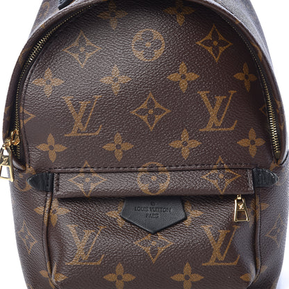 Louis Vuitton Monogram Palm Springs Backpack Mini 7 of 13
