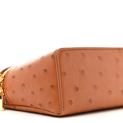 Loro Piana Ostrich L19 Extra Pocket Pouch Cognac 8 of 10