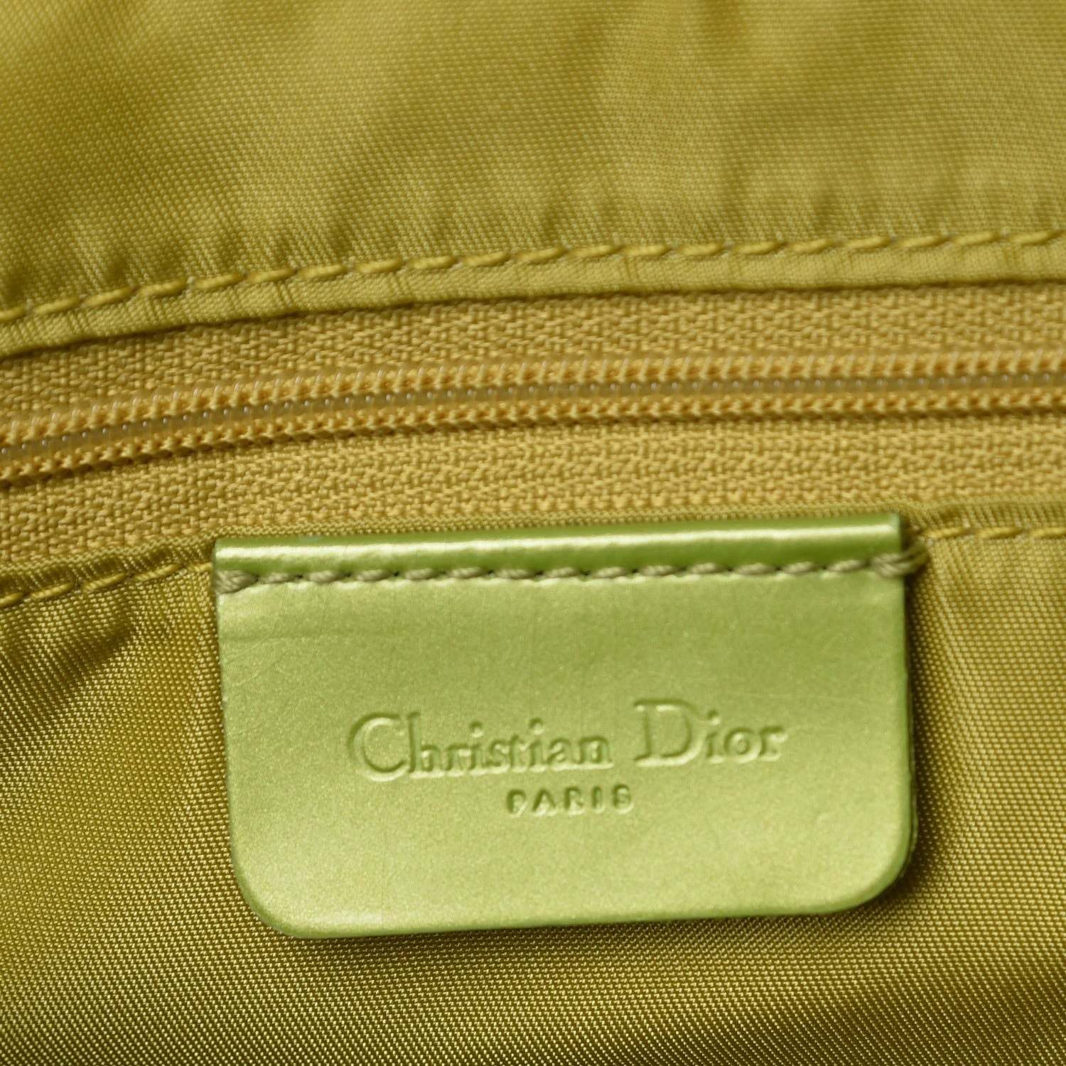 Christian Dior Lizard Double Saddle Bag Green 6 of 9