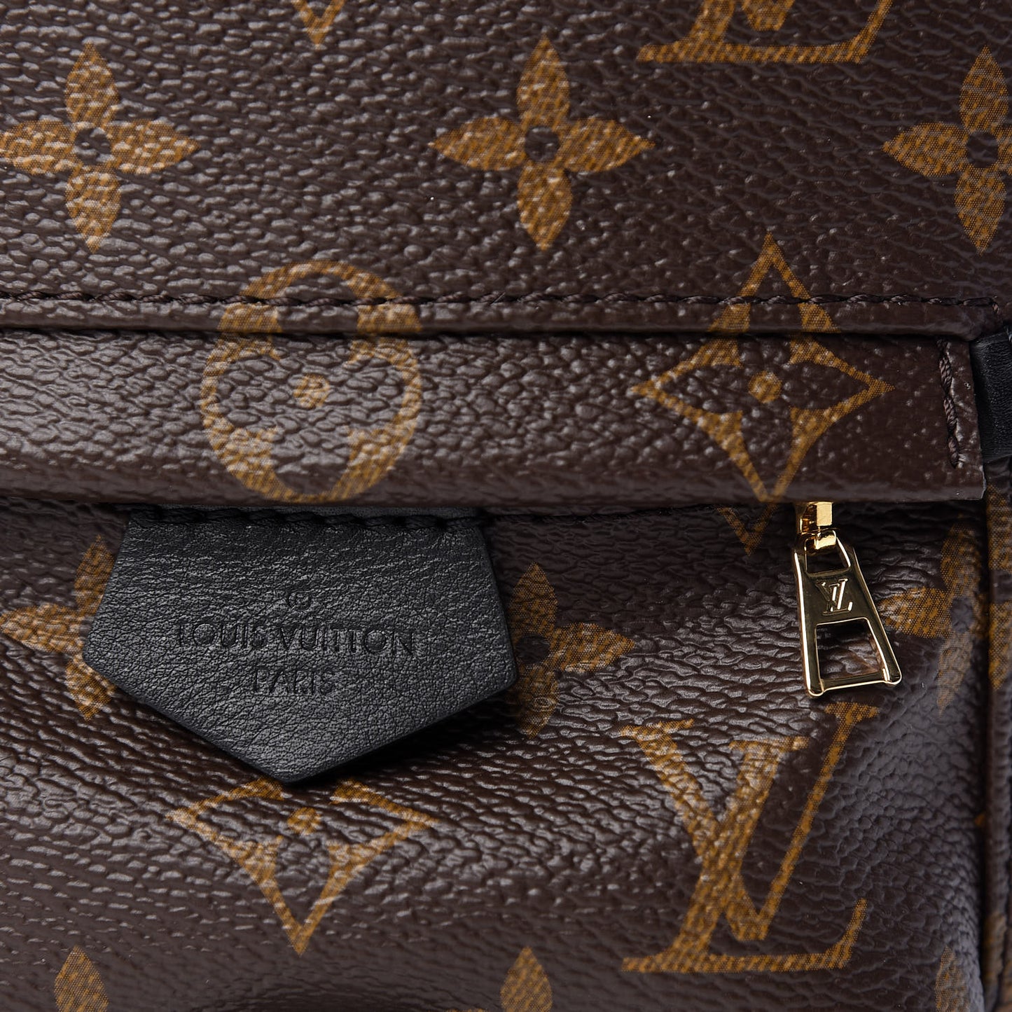 Monogram Palm Springs Backpack Mini