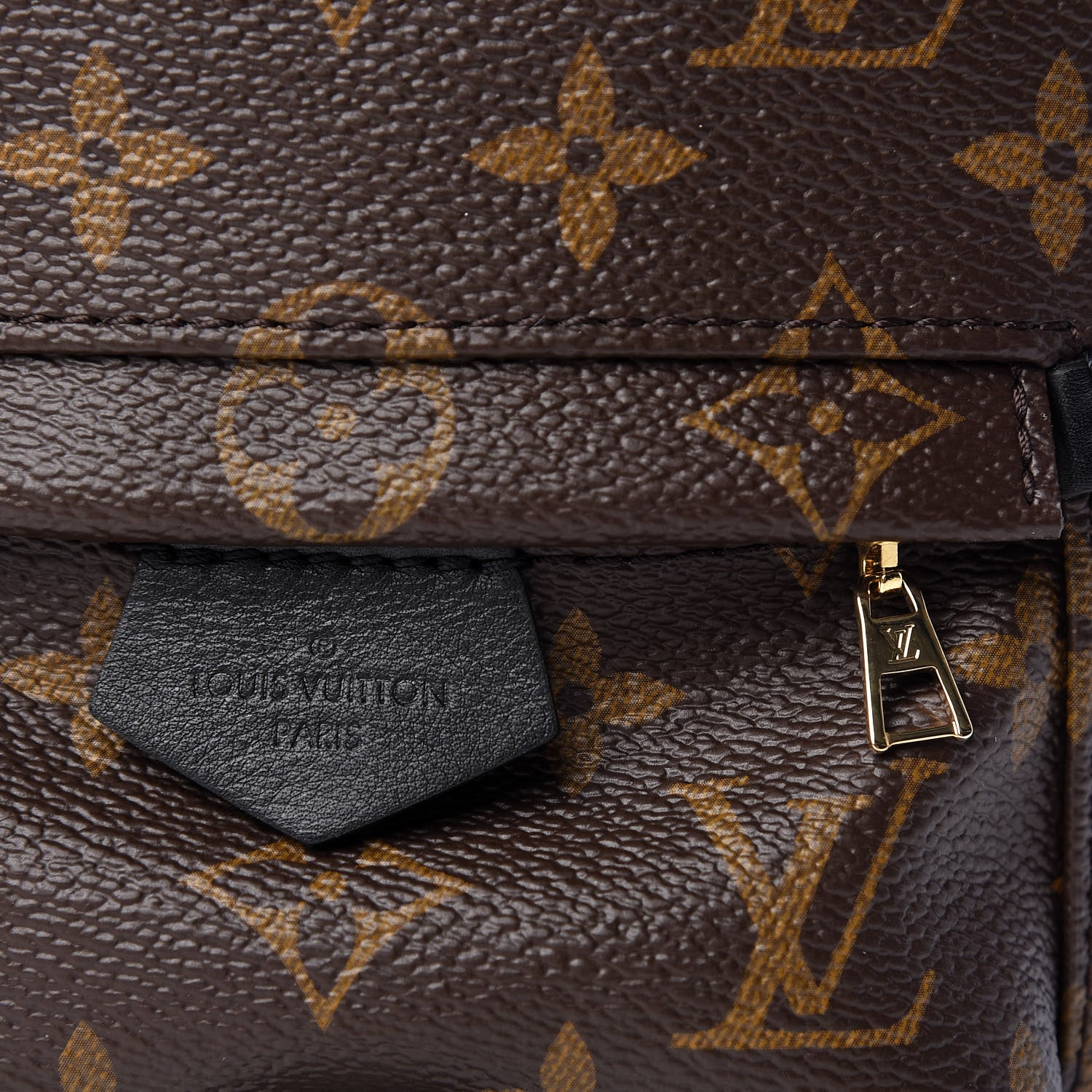 Louis Vuitton Monogram Palm Springs Backpack Mini 19 of 21
