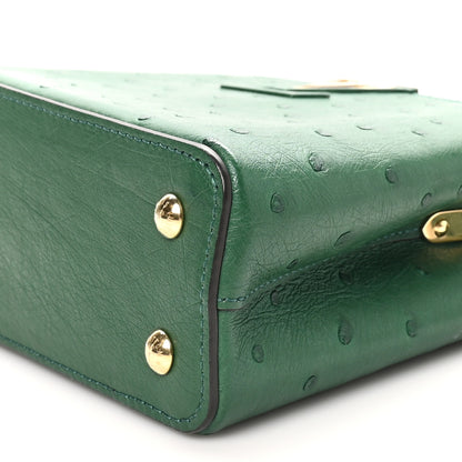 Louis Vuitton Ostrich Capucines Mini Mint 9 of 10